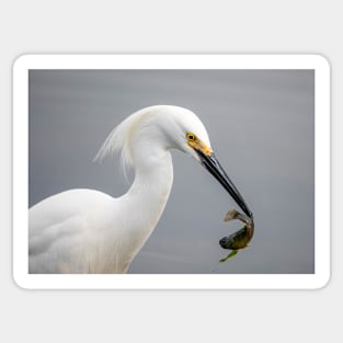 Egret Sticker